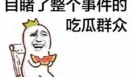 热门大瓜汇总 吃瓜群众在线爆料免费观看 网红吃瓜独家爆料反差,吃瓜群众在线爆料，网红吃瓜独家揭秘，反差笑料不断