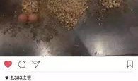 每日有料 今日看料,洞察时事脉搏，把握热点动态